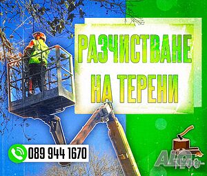 Рязане и кастрене на опасни дървета с вишка