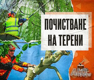 image_9