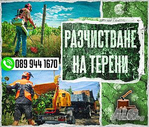 image_7