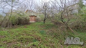 image_9
