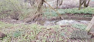 image_10