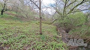 image_11