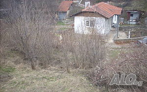 image_7