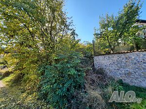 image_13