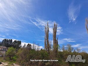 image_8
