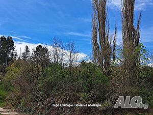 image_9