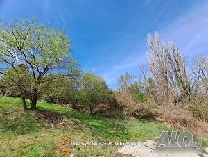 image_3