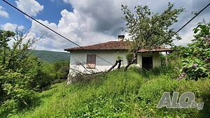 image_8