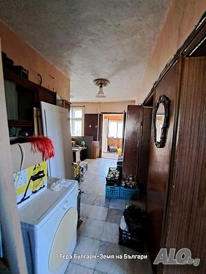 image_7