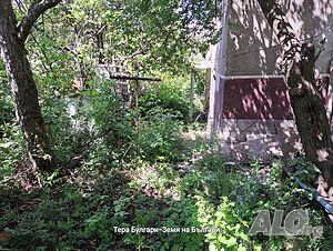 image_8