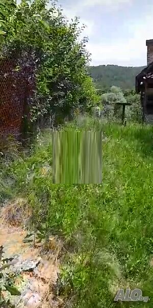 image_6
