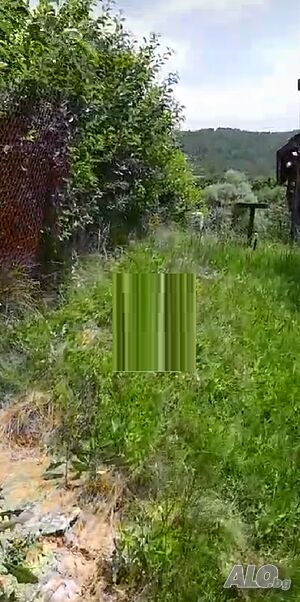 image_7