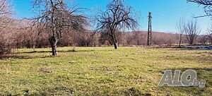 image_7