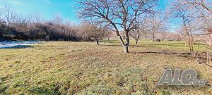 image_12