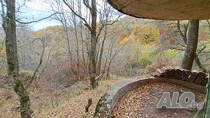 image_7