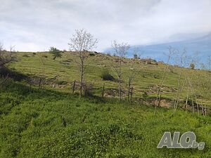 image_14