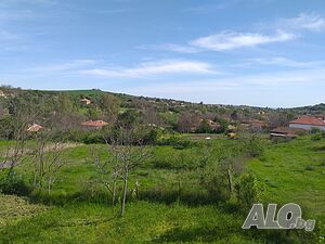 image_15