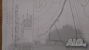 image_10