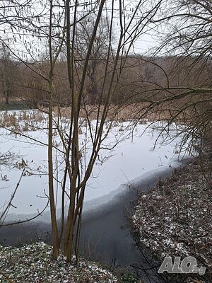 image_11