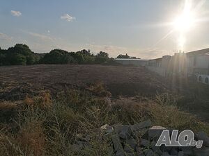 image_8