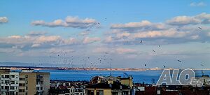 image_21