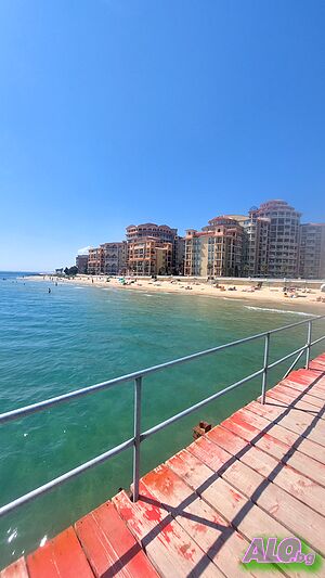 image_11