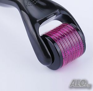 image_6
