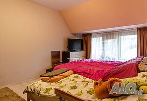 image_11