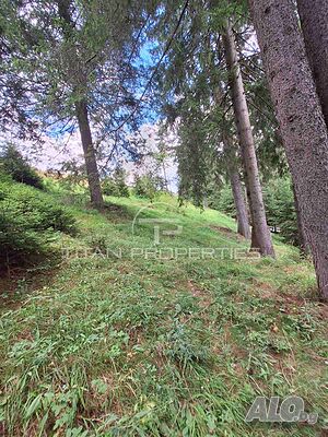image_7