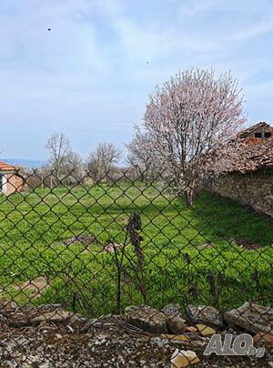 image_2