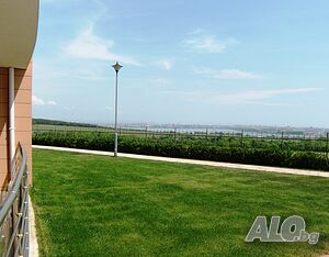 image_8