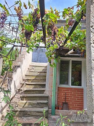 image_5