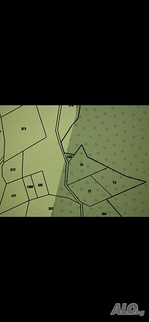 image_5