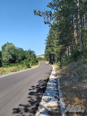 image_15