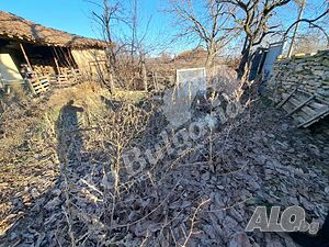 image_7