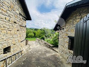 image_3