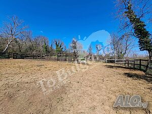 image_14