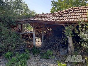 image_8