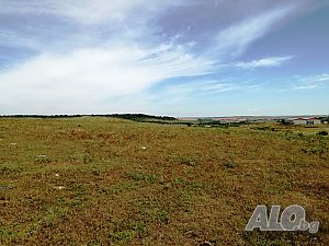 image_8
