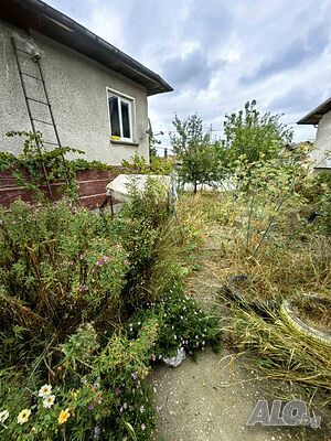image_11