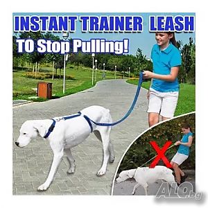 Instant Trainer - иновативна хуманна каишка повод за кучета