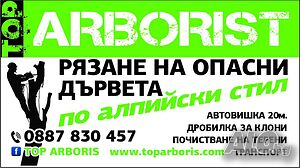 Рязане на опасни дървета