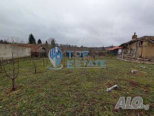 image_10