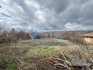 image_12