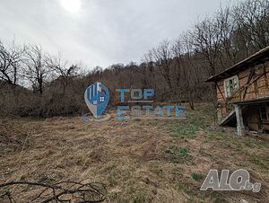image_9