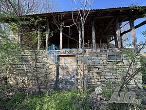 image_9