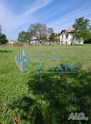 image_6