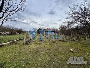 image_15