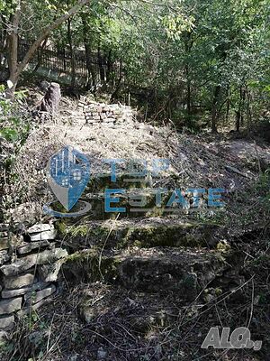 image_10