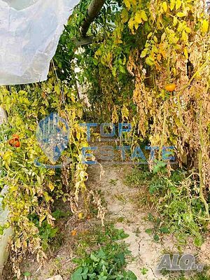 image_15